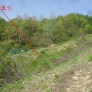 무주읍197 이미지