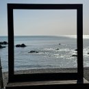 블루밍 | 가성비 오션뷰 끝판왕! 포항 '블루밍카라반' 솔직 후기 (⸝⸝⍢⸝⸝) ෆ