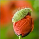 절대남녀 이미지