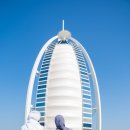 두바이 버즈 이미지