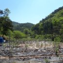 경담농장 이미지