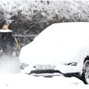 홍도축사 이미지