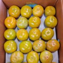 단감상회 이미지