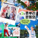 2024년 10월 9일(한글날) 🎊제2회 춘뿌리 운동회🎊 춘천 청년 네트워킹 행사 (10월 1일 모집마감!) 이미지