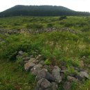 색달동-16 이미지