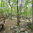 대운산 자연휴양림 캠핑장 이미지