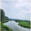 구미 행정사 이미지