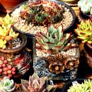 원종농장 이미지