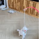 고흥미소동물병원 이미지