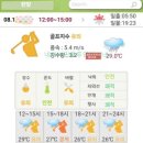 한양 | 서울한양CC 후기 코스 2025년 8월중순 라운드