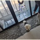 더블루네스 이미지