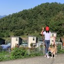 독독펜션 이미지