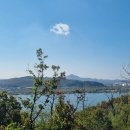 How to get rich/ DONALD J. TRUMP 이미지