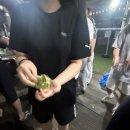 진아세탁 | 202509