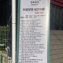 두류댕댕 이미지