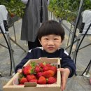 수혁농장 이미지