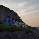 마로니에길 이미지