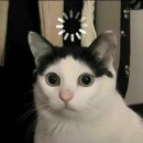 씨유 동해부곡대로점 | 🏔️ 강원도 정선, 묵호 여행 일기 🌊