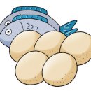 오병이어 이미지