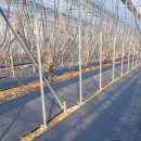 방초농장 이미지