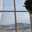 유동 106-1 | 도쿄 우에노역 숙소 'MIMARU TOKYO UENO EAST(미마루 도쿄 우에노 이스트)' 3인 숙소 후기