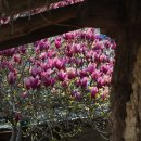 푸른산내들 이미지