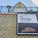 The Stay 309 네이버블로그