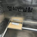 포엠하우스 | [제주]함덕 포엠하우스:: 동쪽 6만원대 가성비 숙소 후기