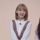 &#39;아이돌룸&#39; 아이즈원 사쿠라 &#34;강호동 정형돈 차이점? 강호동은 애교 있다&#34;[오늘TV] 이미지