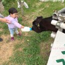 동건목장 이미지