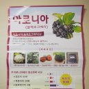 선주농장 이미지