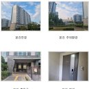 세종시 한솔동 첫마을5단지아파트 519동 2층 44평형 경매 / 대전법원 2025타경503510