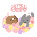 길찻집 | 부산 육향찻집 [육향찻집] 방탈출 후기