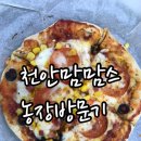 브이모텔 | 신광목장 맘맘스 재방문 후기(피자만들기체험, 먹이주기체험, 트랙터체험,청보리밭체험)
