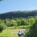 햇살공원 배드민턴장 이미지