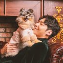 애니멀 라이프 이미지