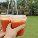 특급정보! "올 휴가 땐 농가맛집에서 밥먹자!" 이미지