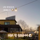 땅콩애견놀이터 네이버블로그