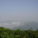 삼양농장 이미지