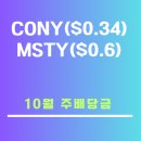 주배당 CONY, MSTY 100주에 대한 배당금 후기