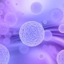 성모재활의학과의원 이미지