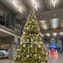 부엉이 승합차 자동문 | 🚌광주투어버스 이용법 및 탑승 후기❤ DRT 타고 ACC 방문(Feat. 크리스마스🎄잔망 루피)