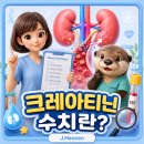 크레아티닌 수치란? 신장기능검사 정상범위와 해석 이미지