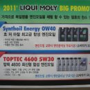 포런모터스