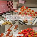 오일뱅크플러스 대구현대점 | 2026 애슐리퀸즈 롯데백화점 대구점 딸기축제 내돈내산 솔직후기