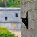 경기도 수원시 팔달구 인계동 1117-1 이미지