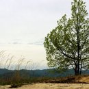 관동묘려 이미지