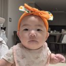 고기퍼주는김치찌개&찜