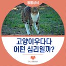 인동동물병원 이미지