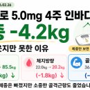 인바디주 | 남자 마운자로 5.0mg 증량 4주 인바디 후기｜체중 -4.2kg·체지방·골격근 변화